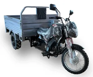 Triciclo Triporte Basculante JC Triciclos JC 200 200 cc 850 L