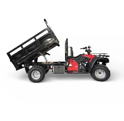 Quadriciclo de Carga Basculante JC Triciclos 4x4 300 cc 750 kg