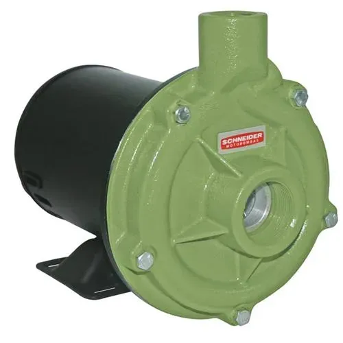 Motobomba Centrífuga Schneider BC-92S 1C 1 CV Monofásica