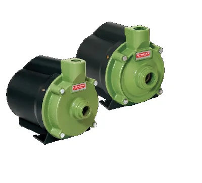Motobomba Centrífuga Schneider BCR-2010 3/4 CV 1" 220V