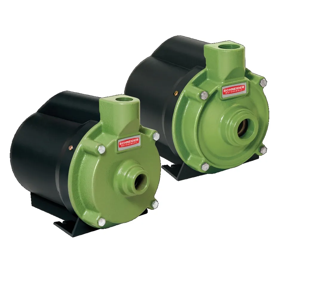 Motobomba Centrífuga Schneider BCR-2010 3/4 CV 1" 220V