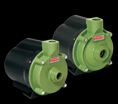 Motobomba Centrífuga Schneider BCR-2010 1 CV Monofásica 220V